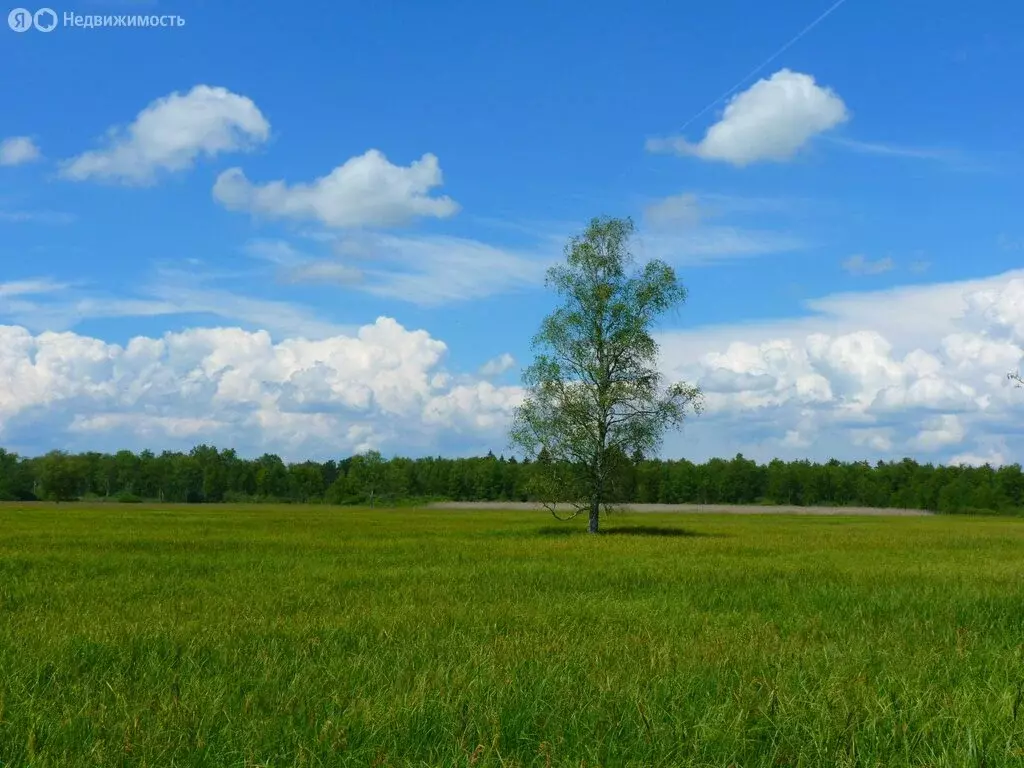 Участок в Бессоновка, Саранская улица, 16 (8 м) - Фото 0