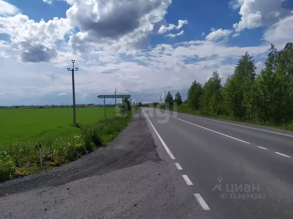Участок в Тюменская область, Тюменский муниципальный округ, Серебряный ... - Фото 1