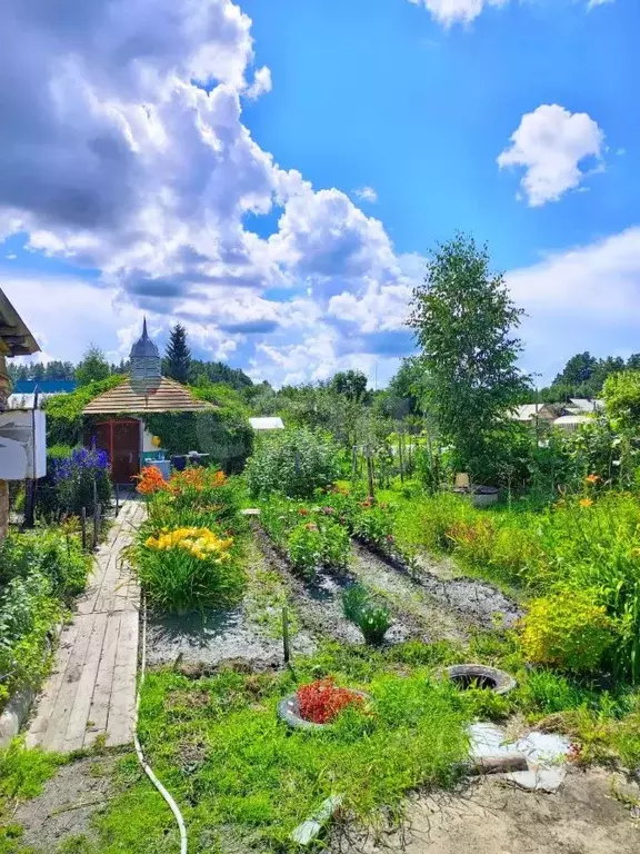 Дом в Курганская область, Кетовский муниципальный округ, с. Просвет ... - Фото 1