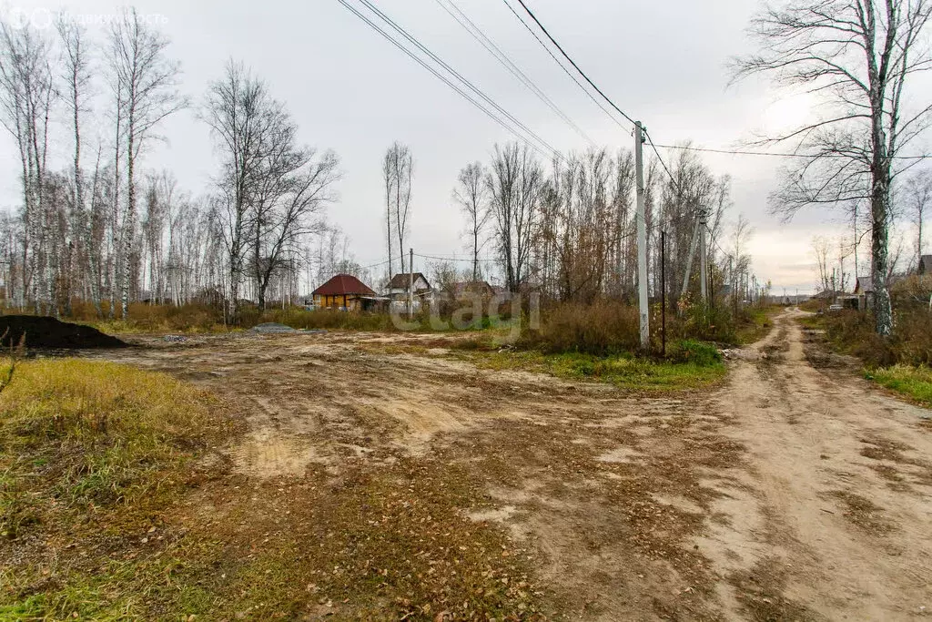 Участок в Новосибирский район, Криводановский сельсовет, село Марусино ... - Фото 0