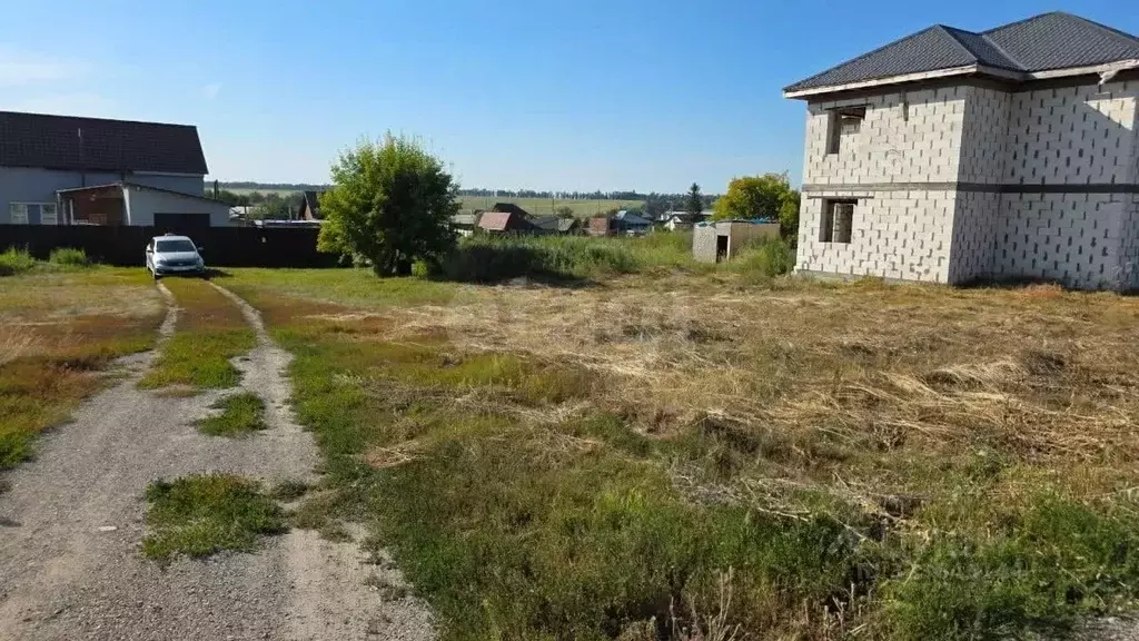 Участок в Алтайский край, Павловский район, с. Шахи ул. Вишневая (15.0 ... - Фото 1