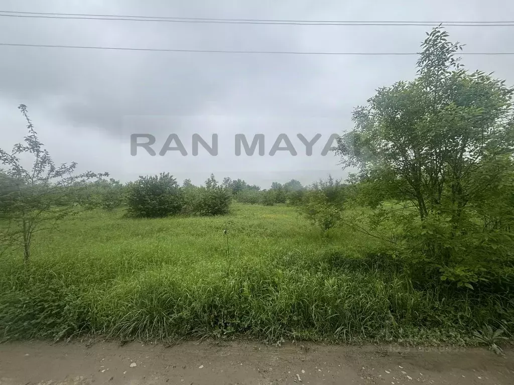 Участок в Адыгея, Майкоп городской округ, Ханская ст-ца ул. Молодежная ... - Фото 0