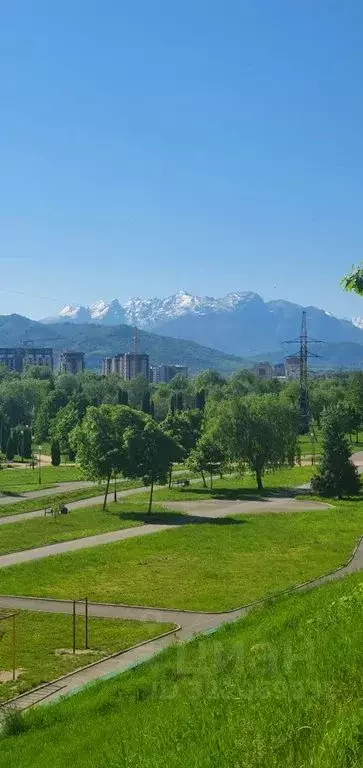 1-к кв. Северная Осетия, Владикавказ ул. Леонова, 8к4 (80.0 м) - Фото 1