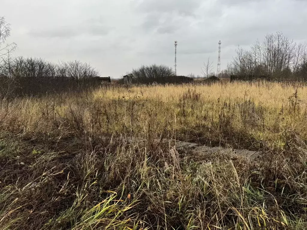 Участок в Московская область, Богородский городской округ, д. ... - Фото 0