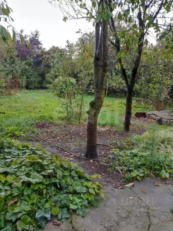 Дом в Адыгея, Майкоп городской округ, пос. Северный ул. Матросова (91 ... - Фото 1