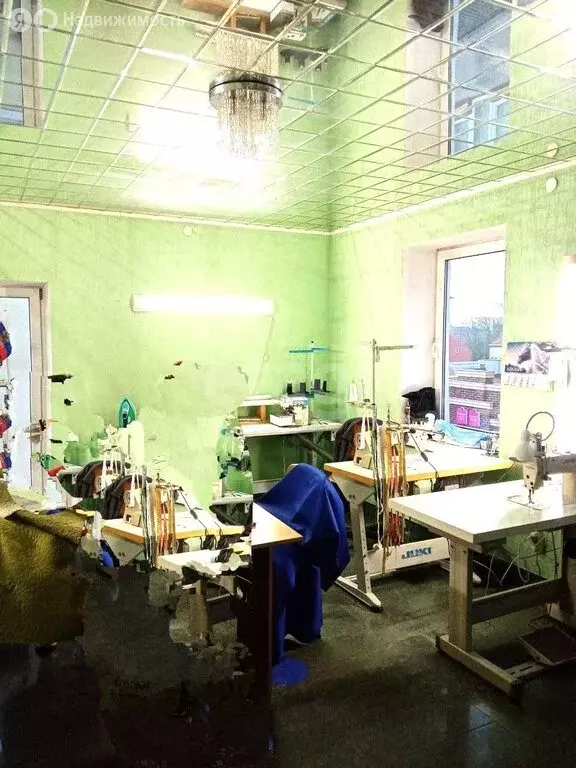 Помещение свободного назначения (30.9 м) - Фото 2