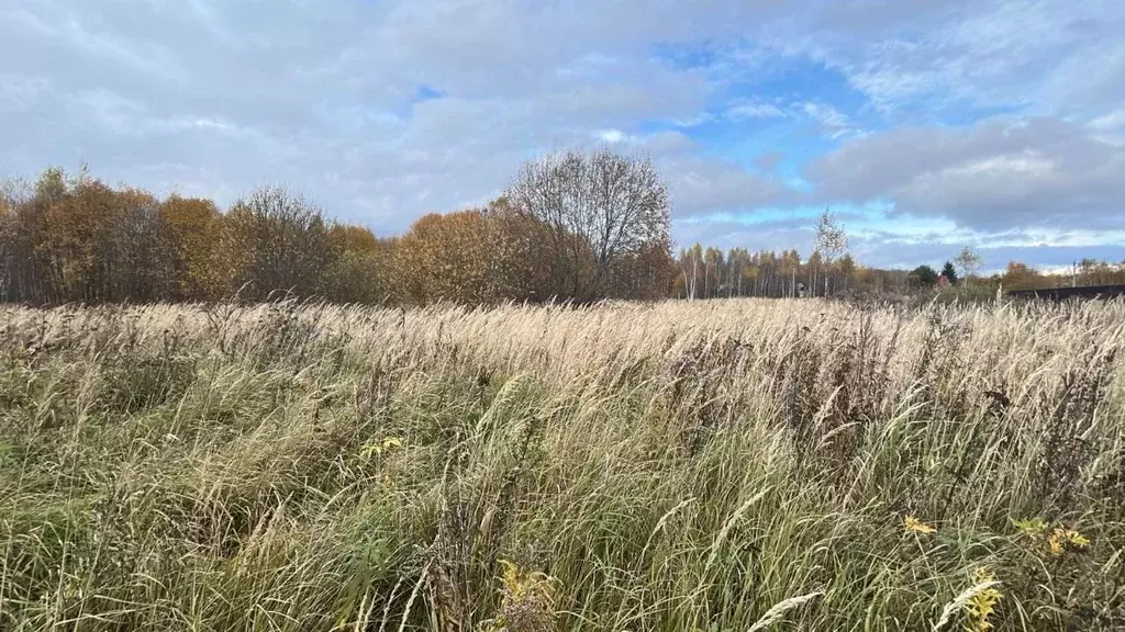 Участок в Московская область, Ступино городской округ, д. Акатово ул. ... - Фото 2