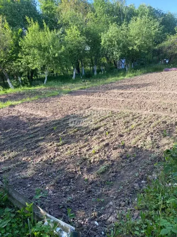Дом в Брянская область, Брянский район, Снежское с/пос, с. Толмачево, ... - Фото 2