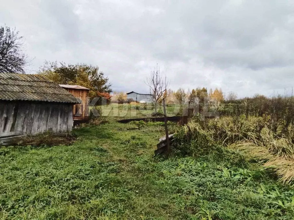 Участок в Брянская область, Брянский район, Новосельское с/пос, д. ... - Фото 1