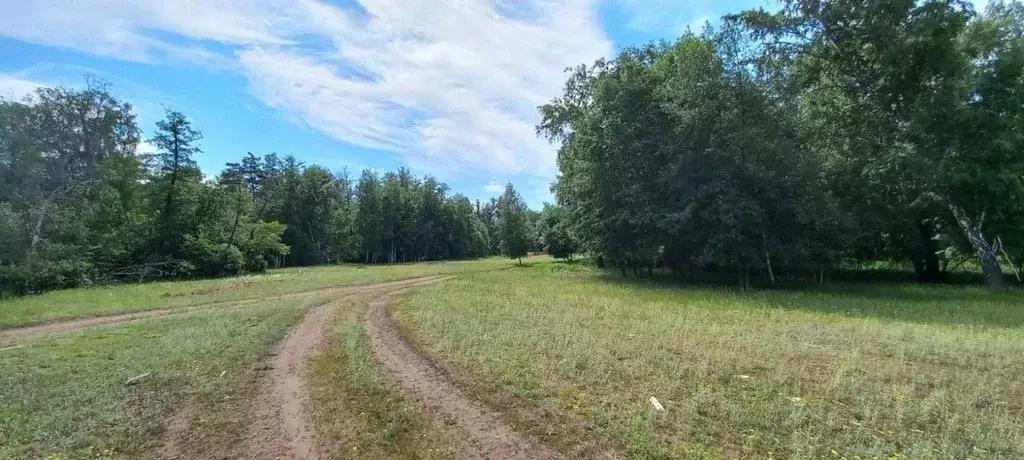 Участок в Оренбургская область, Бузулукский район, Колтубановский ... - Фото 1