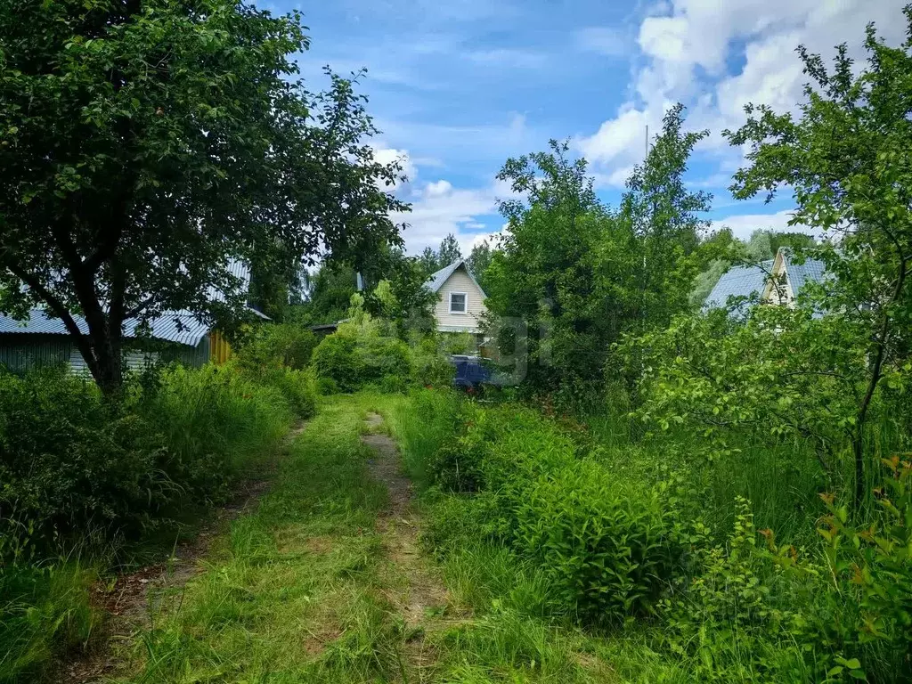 Участок в Московская область, Мытищи городской округ, д. Погорелки ул. ... - Фото 1