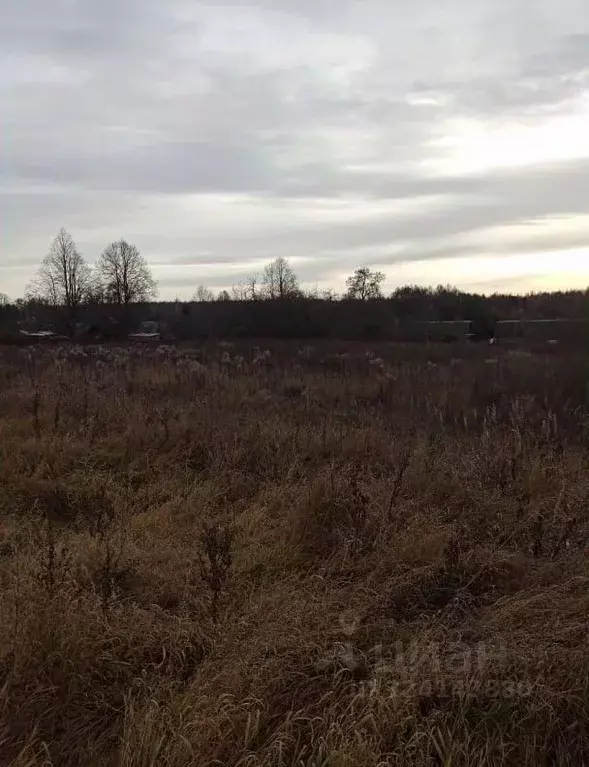 Участок в Московская область, Ступино городской округ, д. Толбино  ... - Фото 1