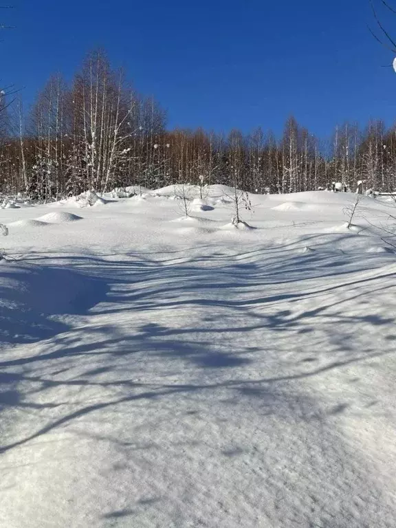Участок в Кемеровская область, Таштагол Алтайская ул., 45Г (15.0 сот.) - Фото 1