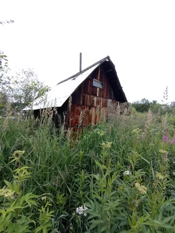 Участок в Екатеринбург, садоводческое некоммерческое товарищество ... - Фото 1