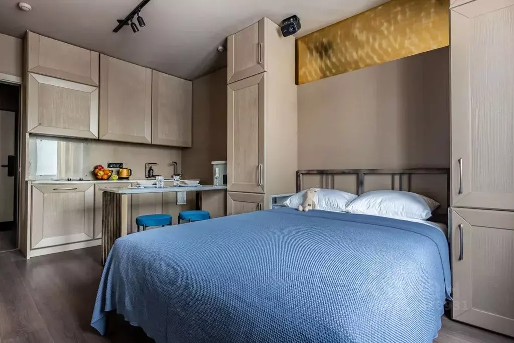 Студия Санкт-Петербург ул. Пейзажная, 24к3 (20.0 м) - Фото 1