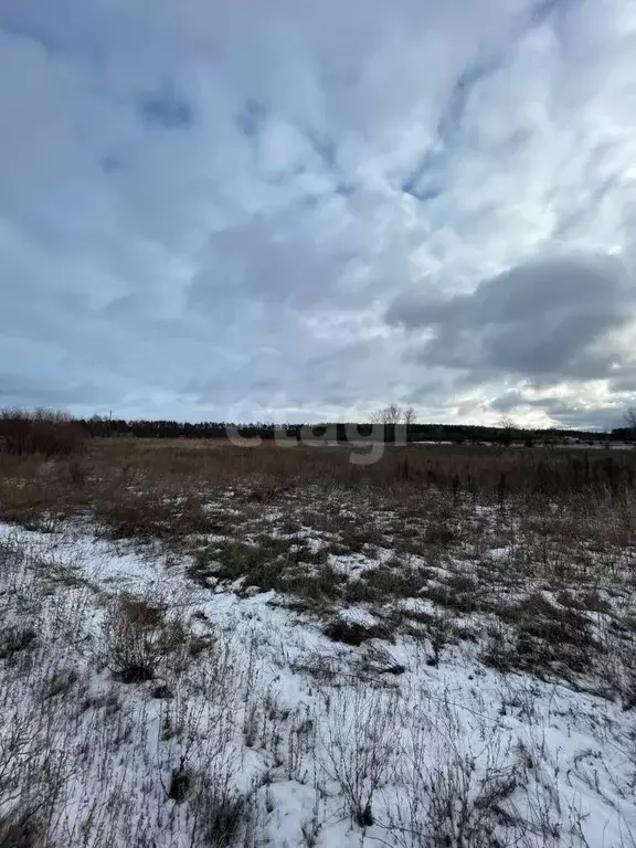 Участок в Белгородская область, Старооскольский городской округ, с. ... - Фото 1