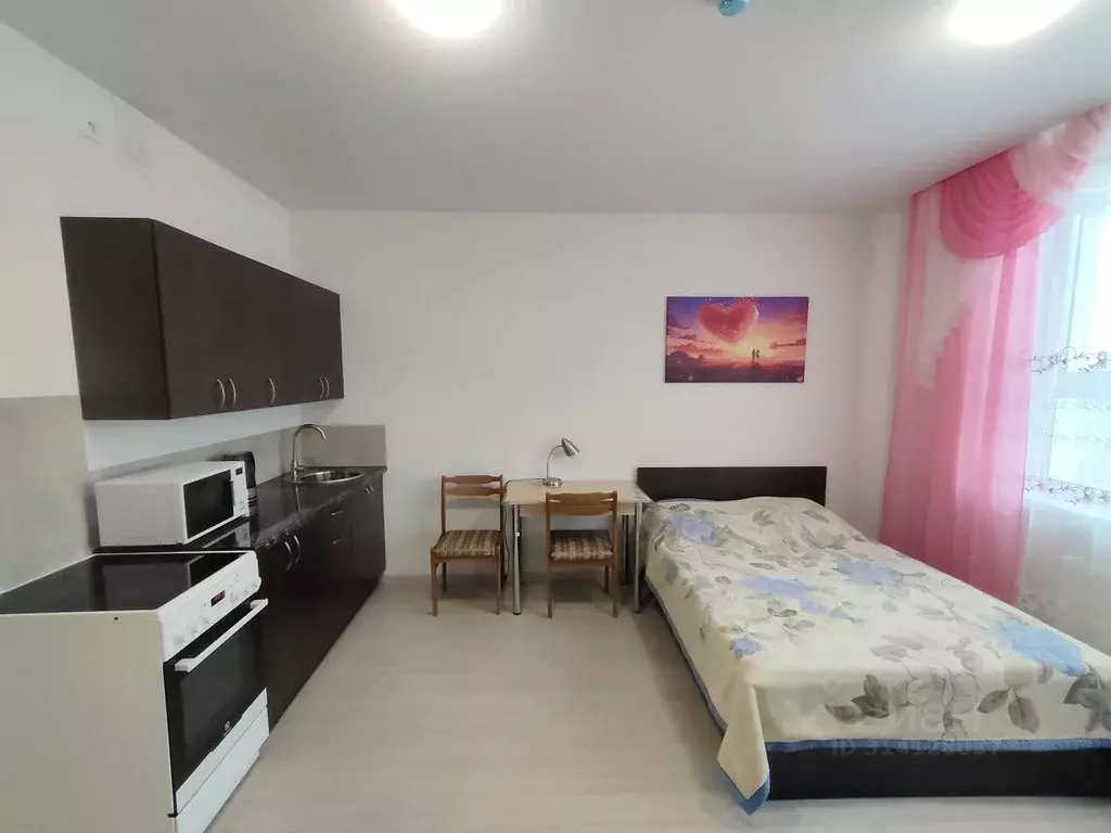 Студия Свердловская область, Екатеринбург ул. Фрунзе, 31 (26.0 м) - Фото 1