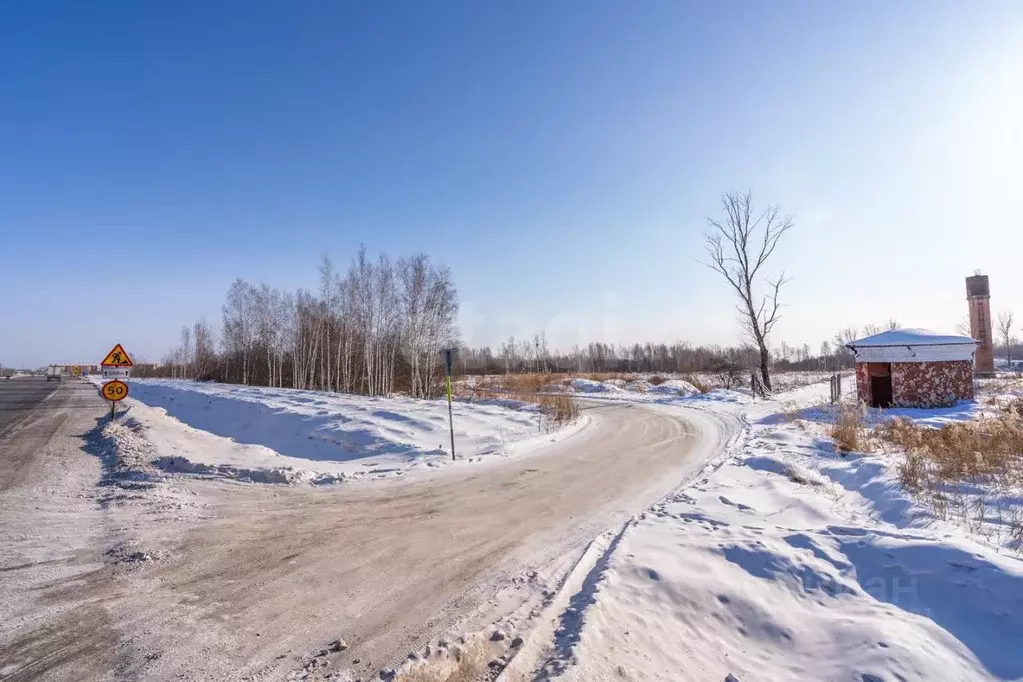Участок в Хабаровский край, Хабаровский район, с. Мирное  (10.0 сот.) - Фото 2