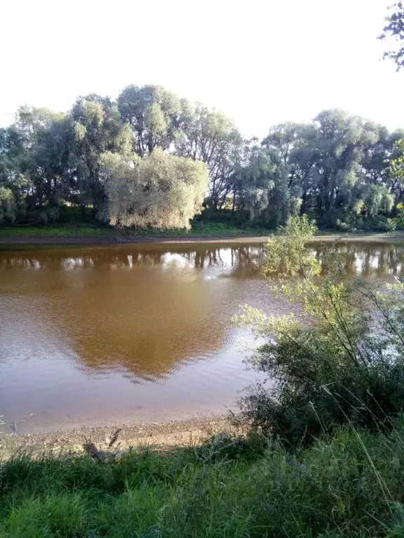 Участок в Новгородская область, Новгородский район, Бронницкое с/пос, ... - Фото 0