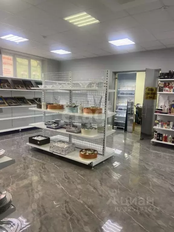 Помещение свободного назначения в Северная Осетия, Владикавказ ул. ... - Фото 1