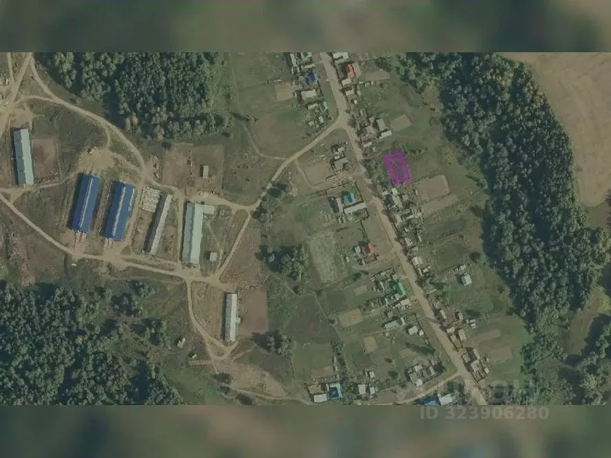 Участок в Пермский край, Куединский муниципальный округ, с. Большие ... - Фото 1