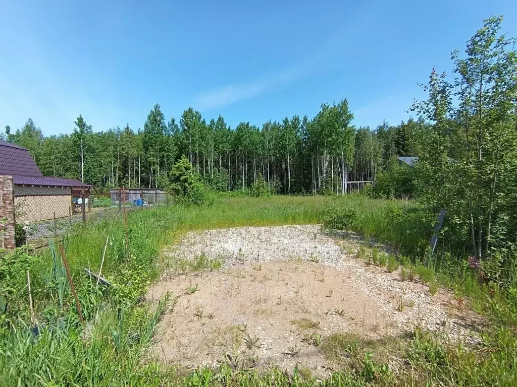 Участок в Ленинградская область, Тосненский район, Форносовское ... - Фото 2