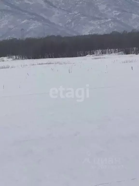 Участок в Камчатский край, Елизовский район, с. Сосновка  (15.0 сот.) - Фото 0