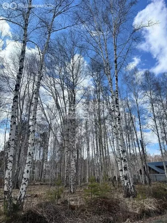 Участок в Иркутский муниципальный округ, ДНТ Красная Поляна (18 м) - Фото 2