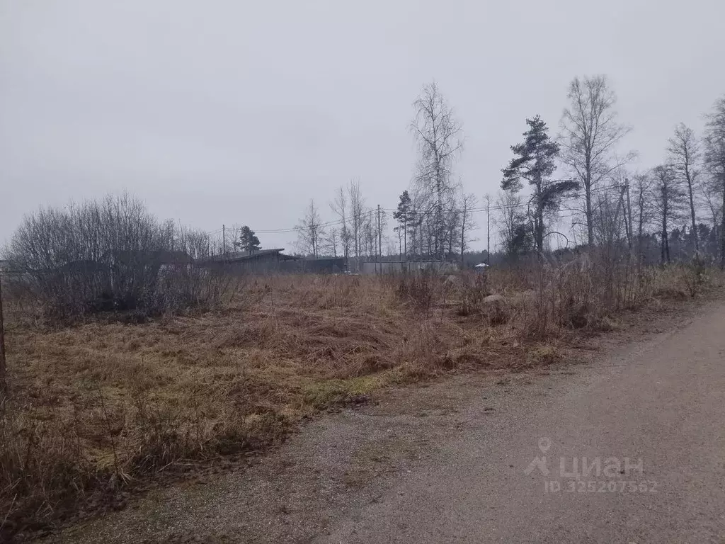 Участок в Ленинградская область, Приозерский район, Ларионовское ... - Фото 2