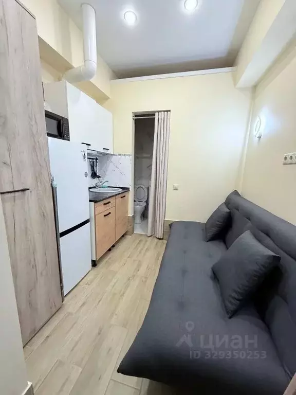 Студия Москва Ботаническая ул., 41К7 (7.5 м) - Фото 1