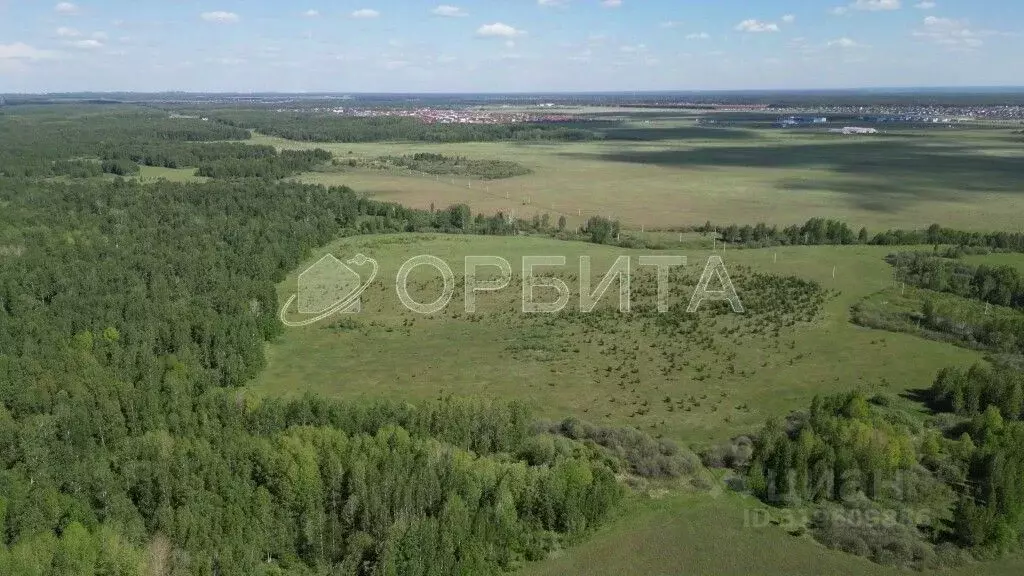 Участок в Тюменская область, Тюменский район, д. Елань 14 (5.0 сот.) - Фото 0