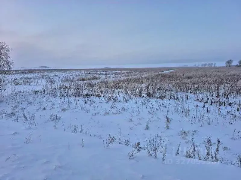 Участок в Амурская область, Благовещенский район, с. Владимировка  ... - Фото 1