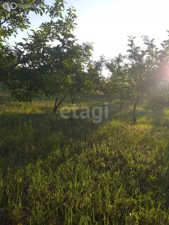 Участок в Краснодарский край, муниципальный округ Анапа, посёлок ... - Фото 1