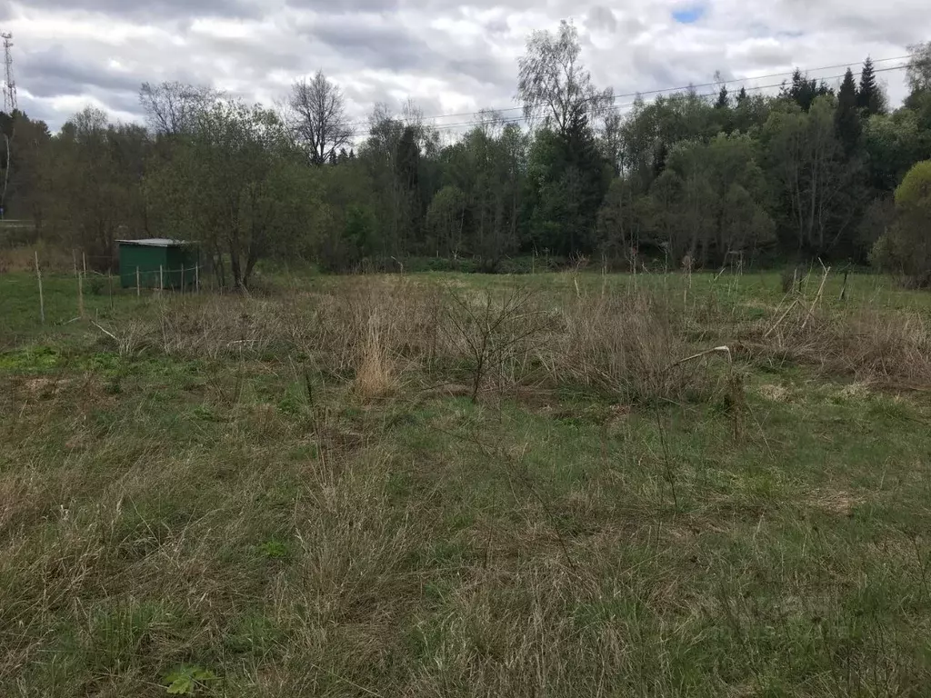 Участок в Московская область, Пушкинский городской округ, д. Раково  ... - Фото 0