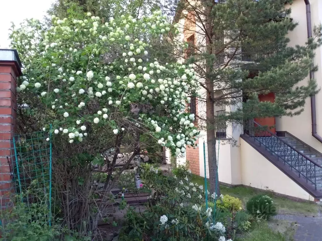 Коттедж в Ленинградская область, Всеволожский район, Рахьинское ... - Фото 1