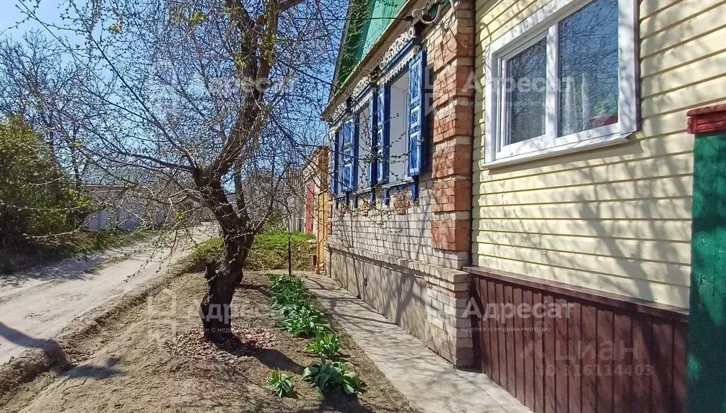 Дом в Волгоградская область, Волгоград ул. Бестужева (51 м) - Фото 1