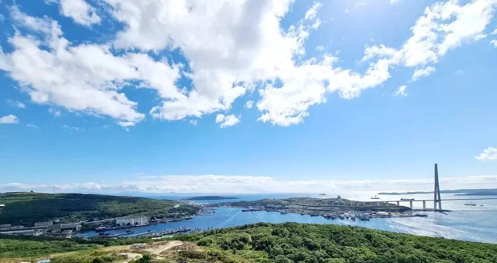 Студия Приморский край, Владивосток ул. 3-я Поселковая, 18 (27.0 м) - Фото 2