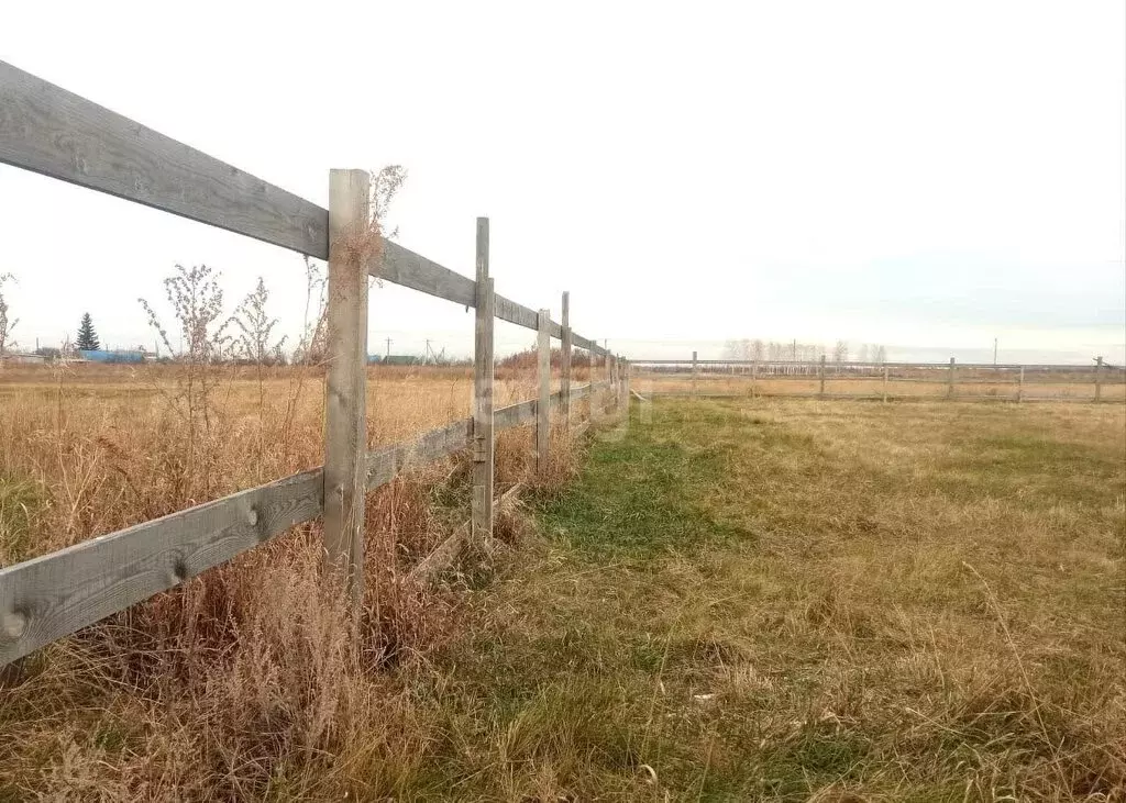 Участок в Омская область, Азовский немецкий район, деревня Круч, ... - Фото 0