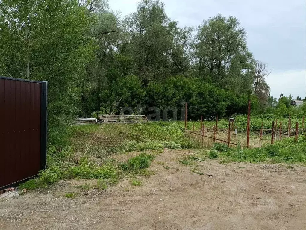 Участок в Новосибирская область, Новосибирский район, Кудряшовский ... - Фото 1