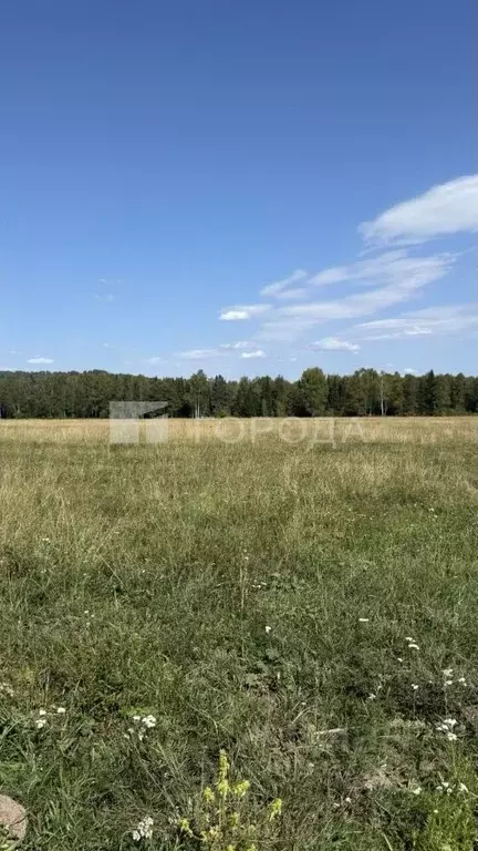 Участок в Алтай, Турочакский район, с. Дмитриевка Рабочая ул. (9.0 ... - Фото 2