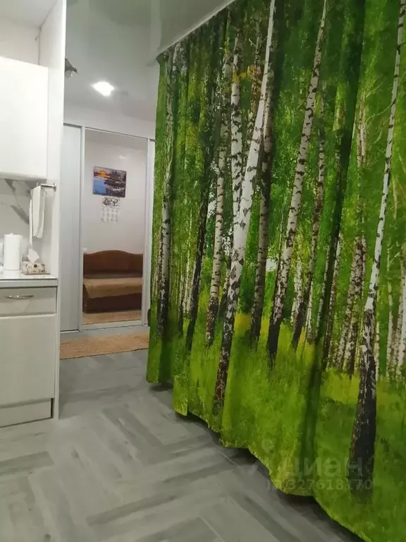 Студия Ленинградская область, Ломоносовский район, Аннинское городское ... - Фото 2