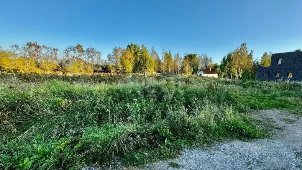 Участок в Ленинградская область, Приозерский район, Красноозерное ... - Фото 0