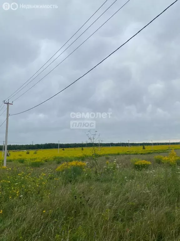 Участок в Бийск, улица Якова и Ивана Максюковых, 36 (13.48 м) - Фото 0