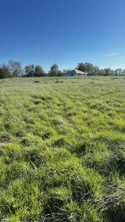 Участок в Калининградская область, Гурьевский муниципальный округ, ... - Фото 0