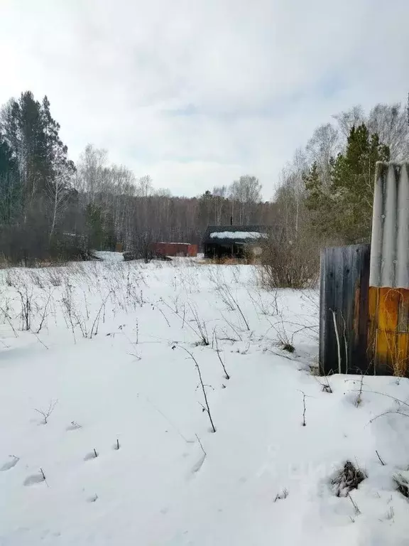 Участок в Красноярский край, Емельяново городское поселение, Полет СНТ ... - Фото 0