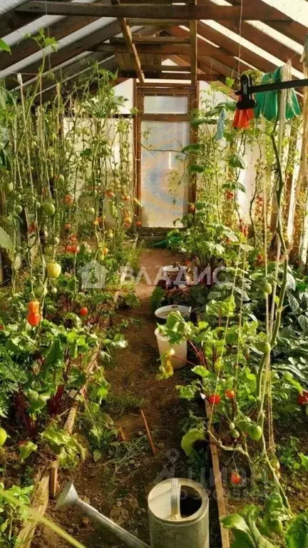 Дом в Владимирская область, Камешковский муниципальный округ, ... - Фото 2