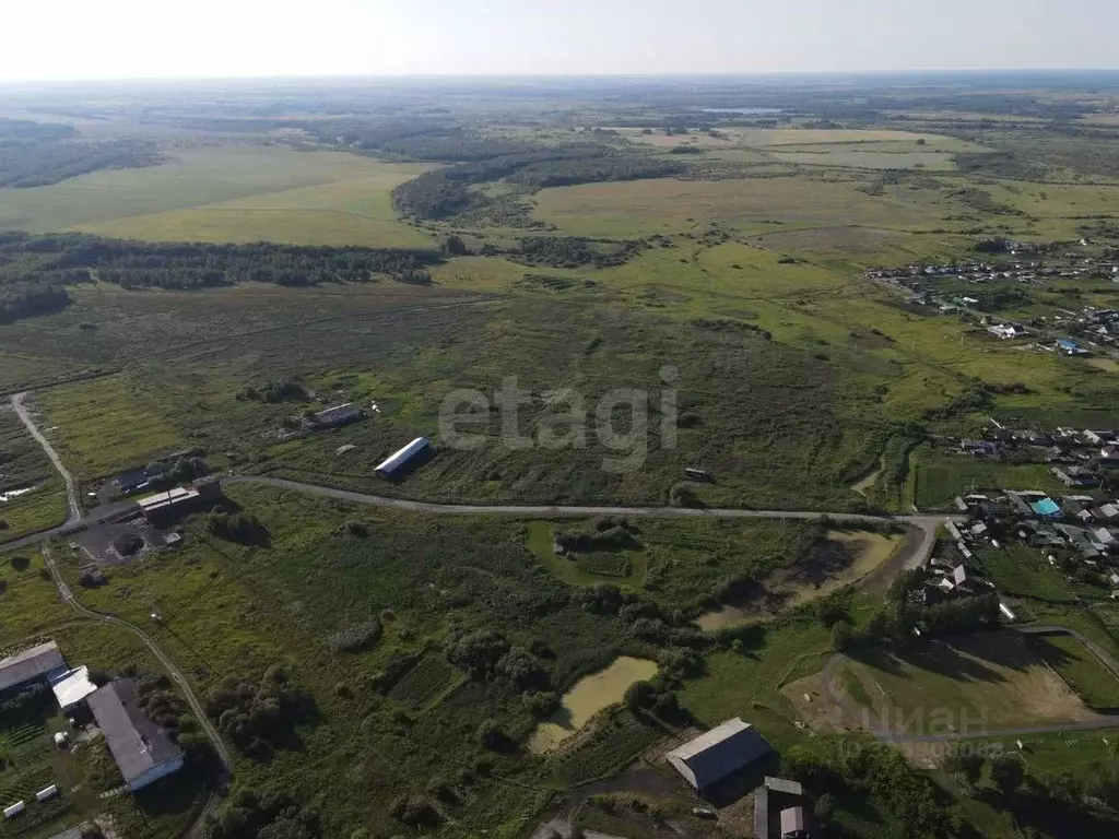Участок в Свердловская область, Слободо-Туринский район, ... - Фото 2
