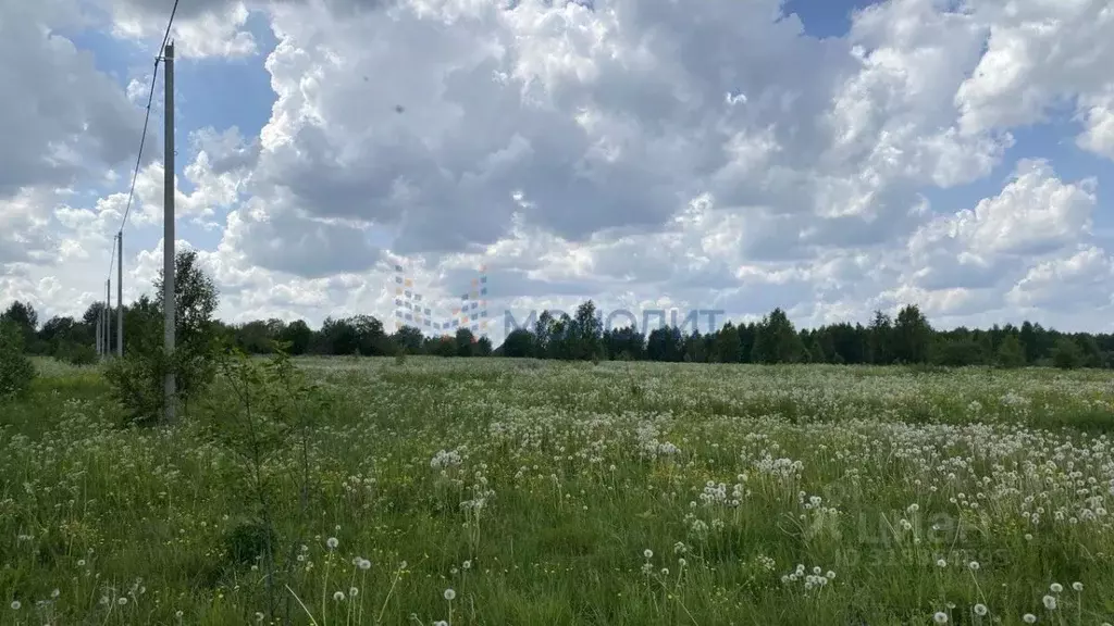 Участок в Нижегородская область, Чкаловск муниципальный округ, д. ... - Фото 2