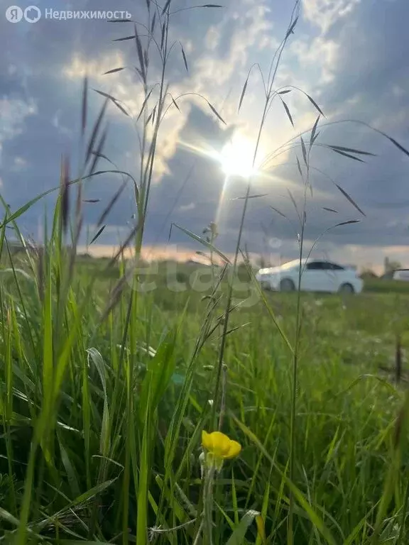 Участок в Беслан, улица Братьев Газдановых (9.16 м) - Фото 2