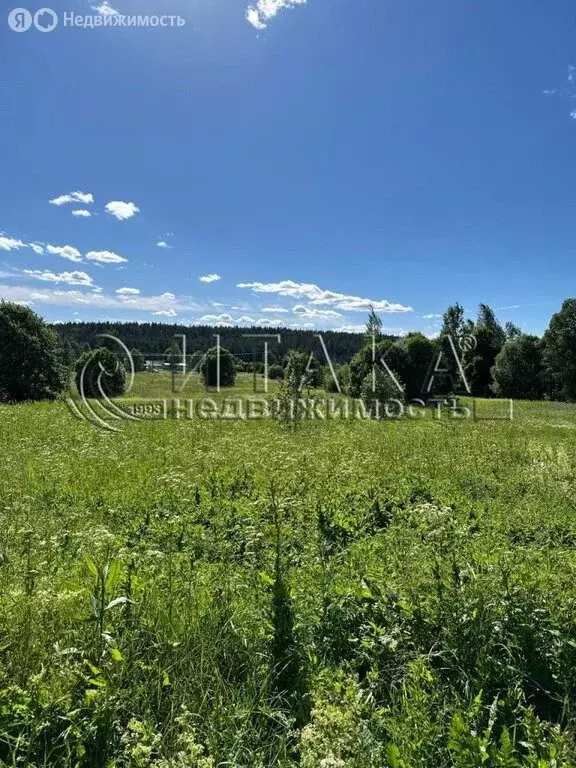 Участок в Выборгский район, Каменногорское городское поселение, ... - Фото 2